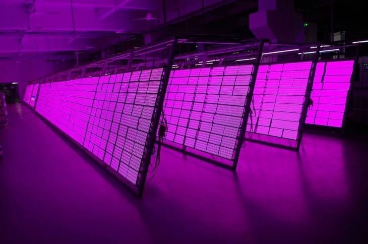 P16 DIP Full Color Outdoor Advertising Led Screens